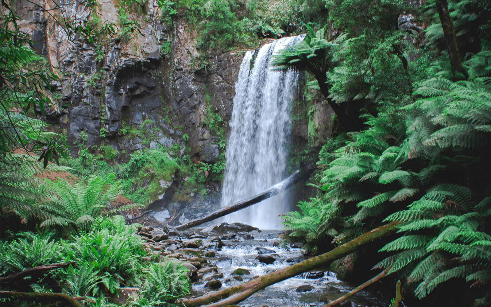 Hopetoun Falls in the Great Otway National Park